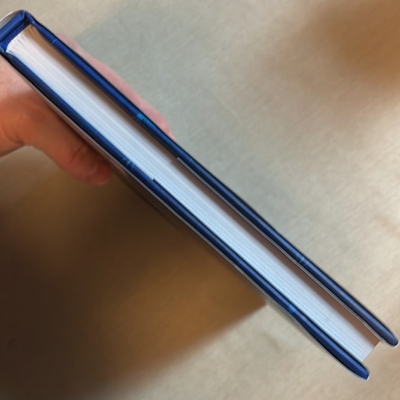 🌈2/$8  Hanukkah Lights: Stories of the Season - Picture 6 of 13